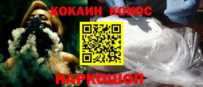 шишки Дубна