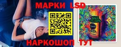 шишки Дубна