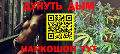 шишки Дубна