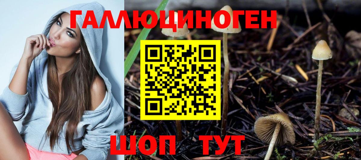 Псилоцибиновые грибы мухоморы  Вход с VPN  Псилоцибиновые грибы Psilocybe  Лесозаводск 