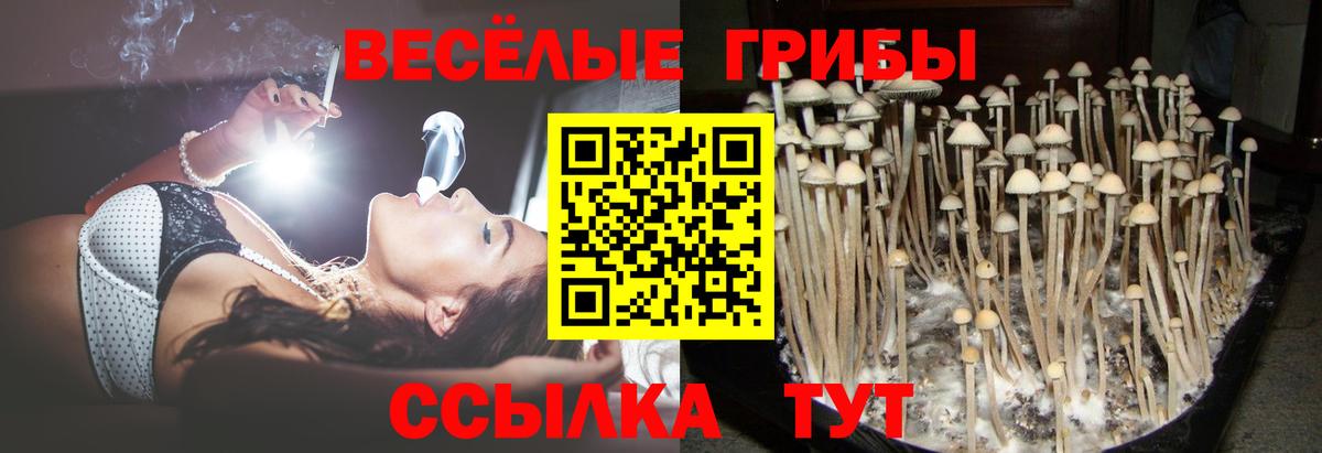ГАШ Лесозаводск